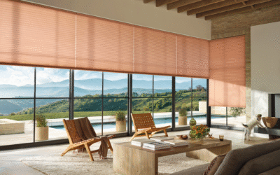 Celebrating 2025: Jackson Hole’s Window Design Highlights