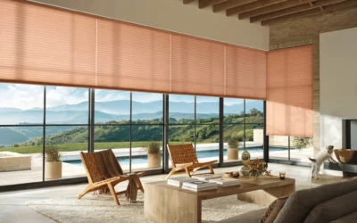 Celebrating 2025: Jackson Hole’s Window Design Highlights