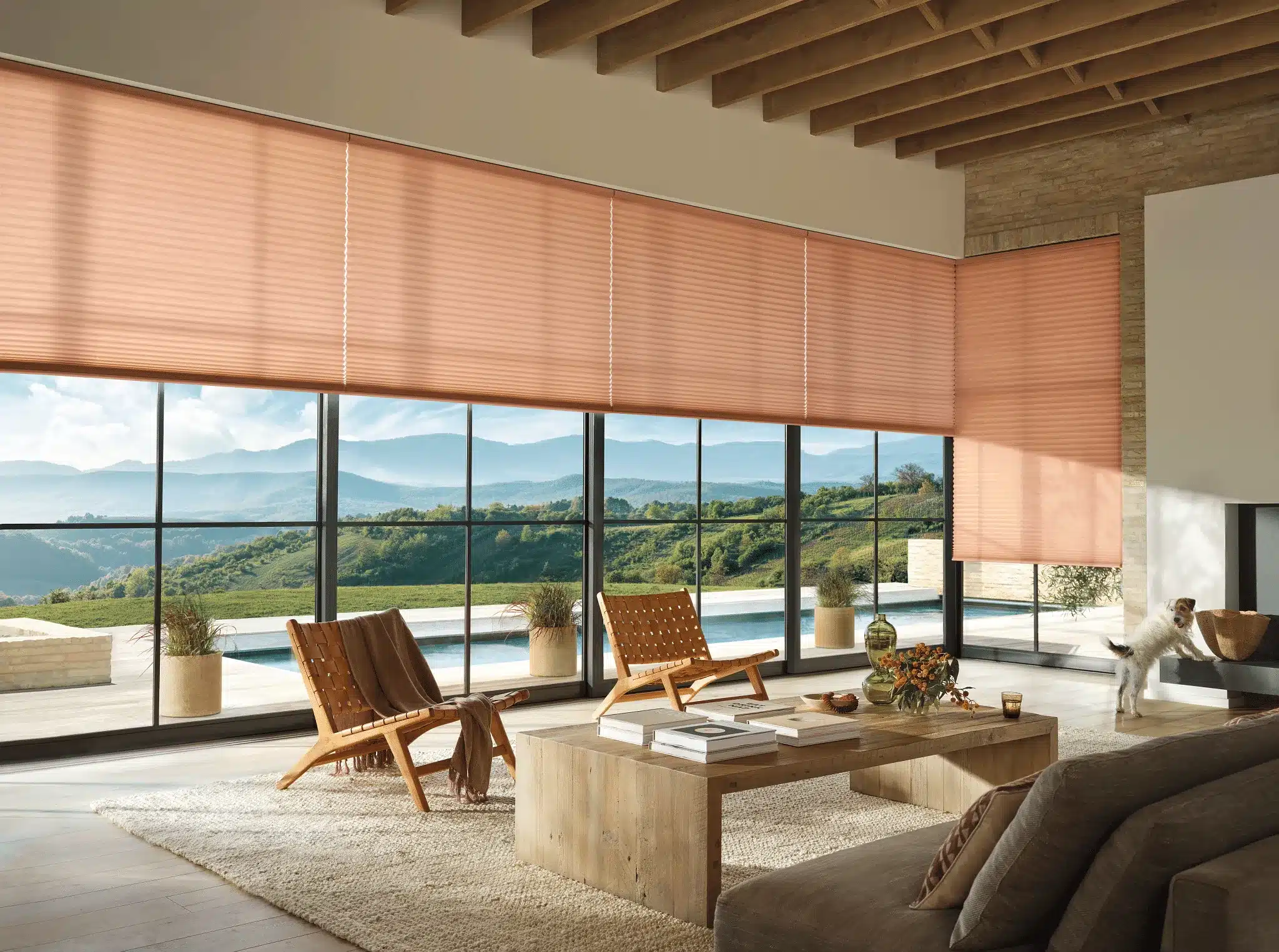 2023-DU-PV-Thea-Living-Room-Dog 2023 DU PV Thea Living Room Dog